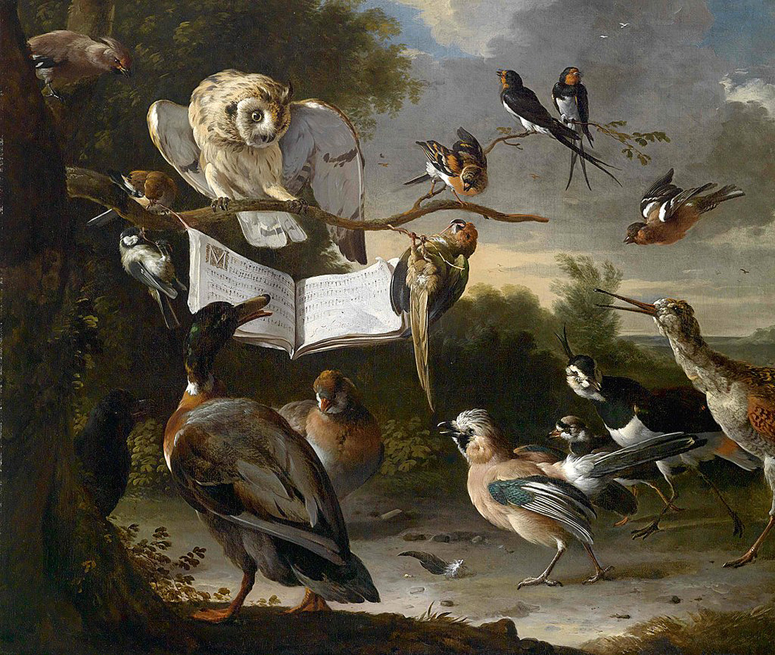 concert of birds
